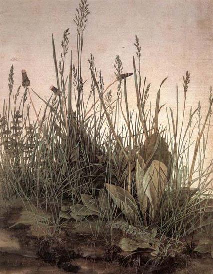 Albrecht Durer The Large Turf